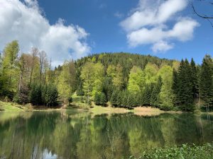 Rüya Kamp – Torkul Göleti
